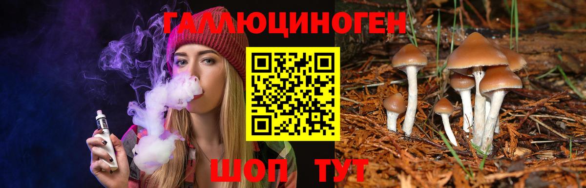 Галлюциногенные грибы Cubensis Владикавказ